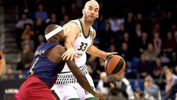 calathes pao