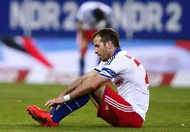 hamburg van der vaart