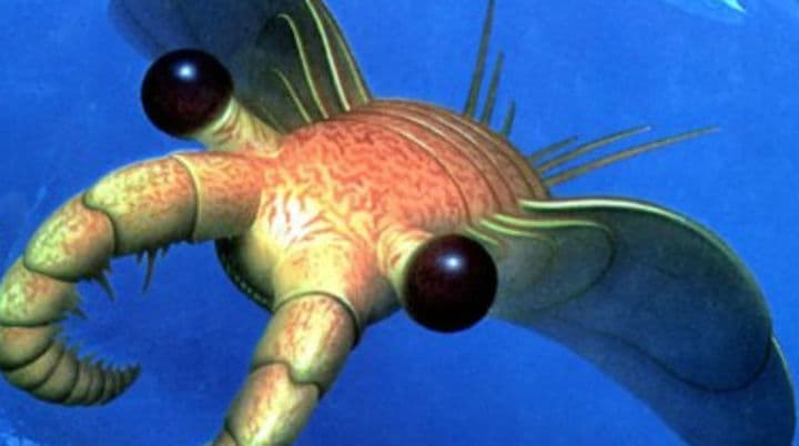 Mati Garida το Bet-Masters στο Μουντιάλ