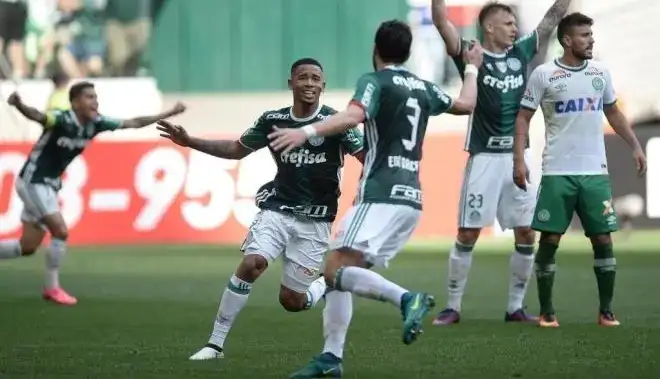palmeiras chape